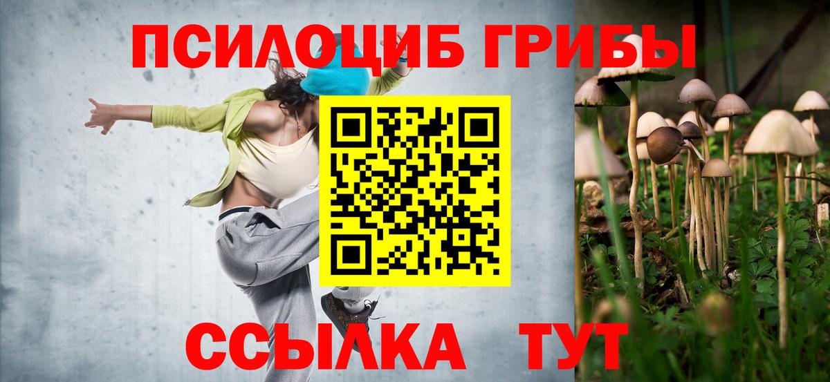 Псилоцибиновые грибы Psilocybine cubensis  Галлюциногенные грибы Magic Shrooms  Благодарный  Вход с VPN 