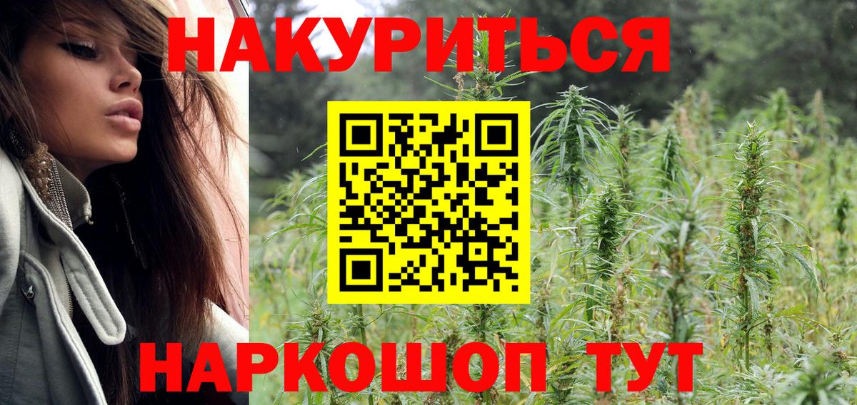 Бошки Шишки планчик Благодарный
